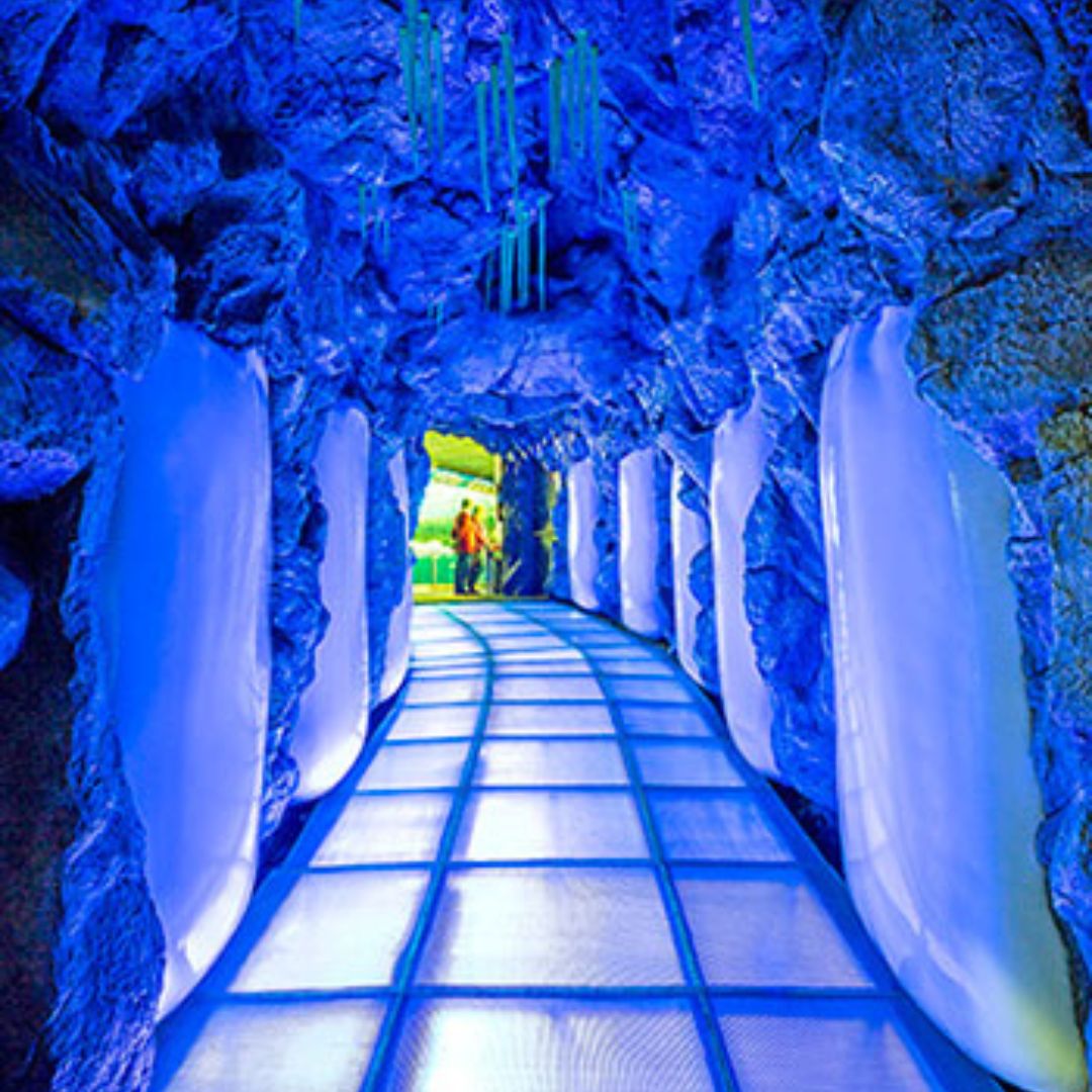 loro park teneryfa
