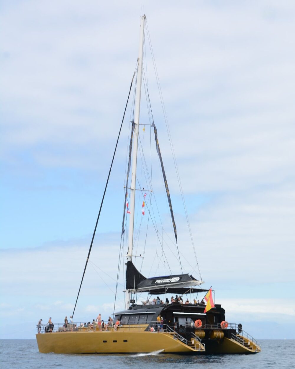 katamaran teneryfa