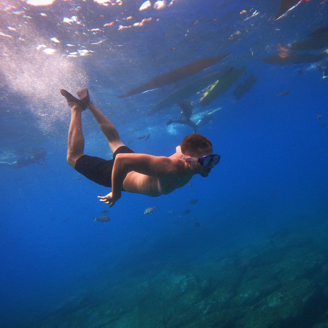 snorkelling na teneryfie