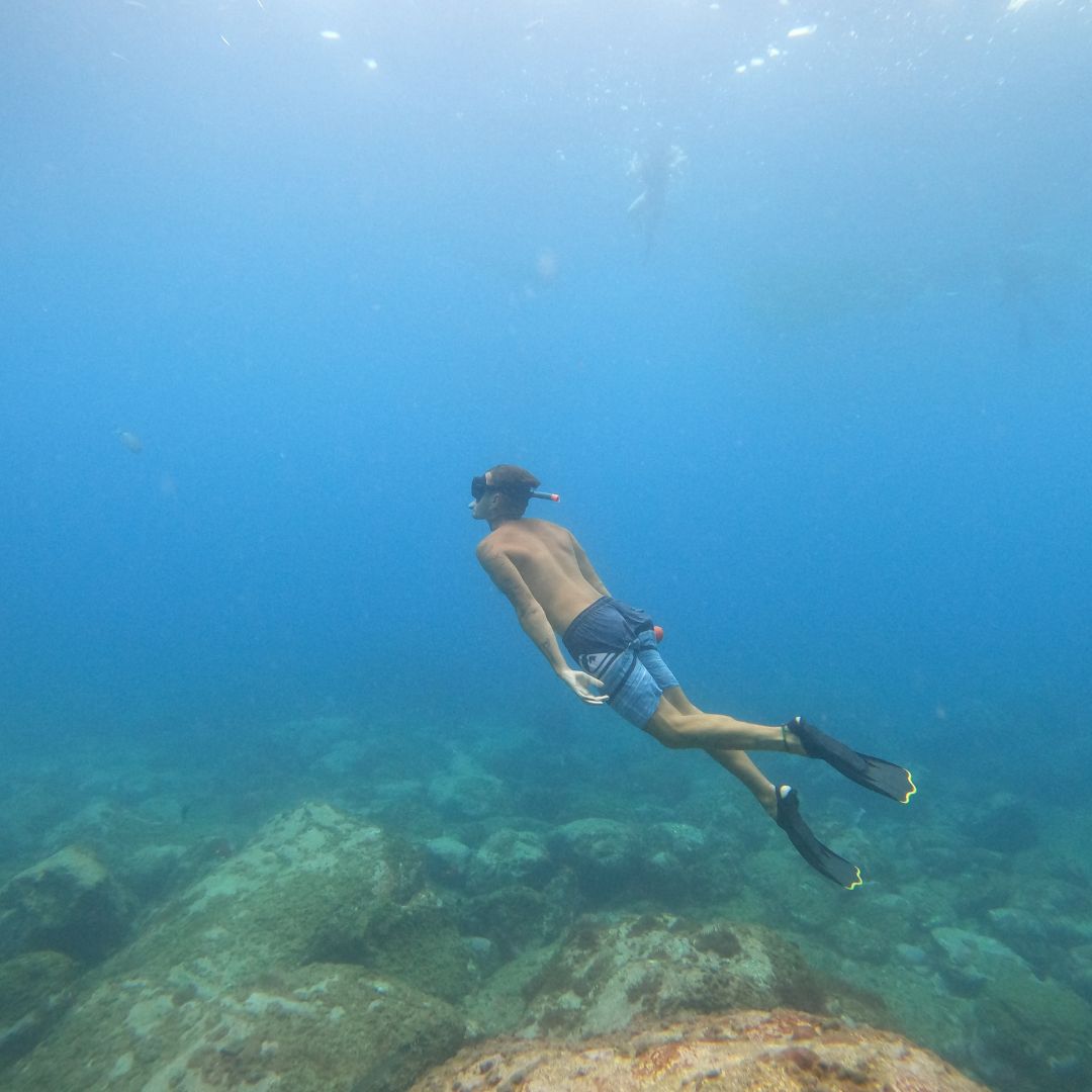 snorkelling na teneryfie