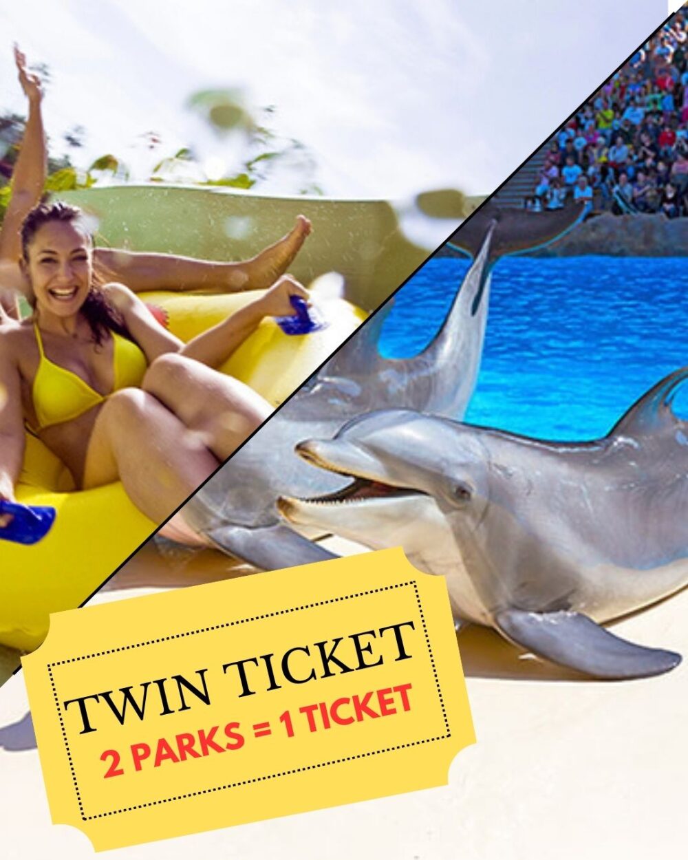 twin ticket teneryfa