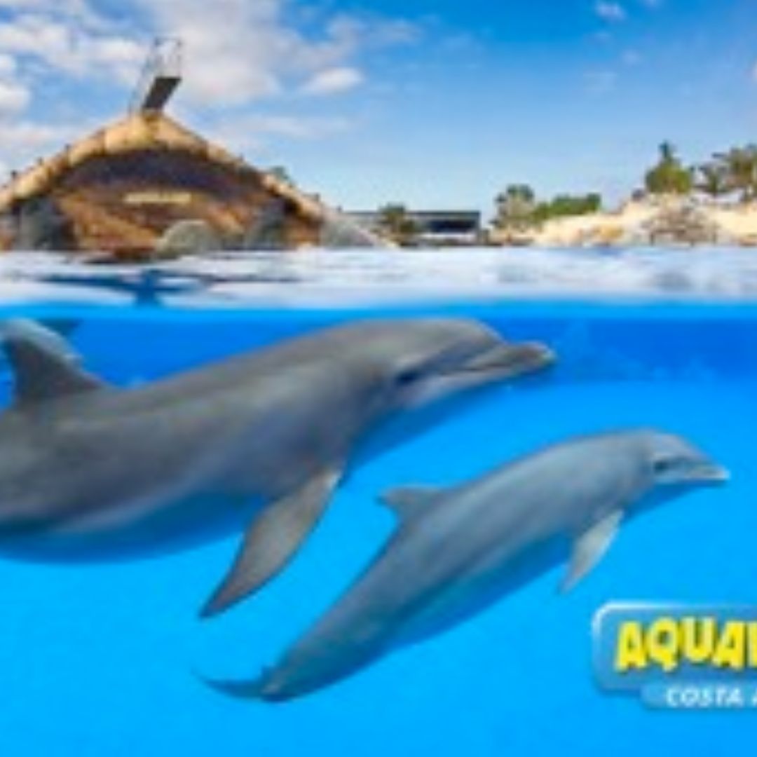 aqualand delfiny