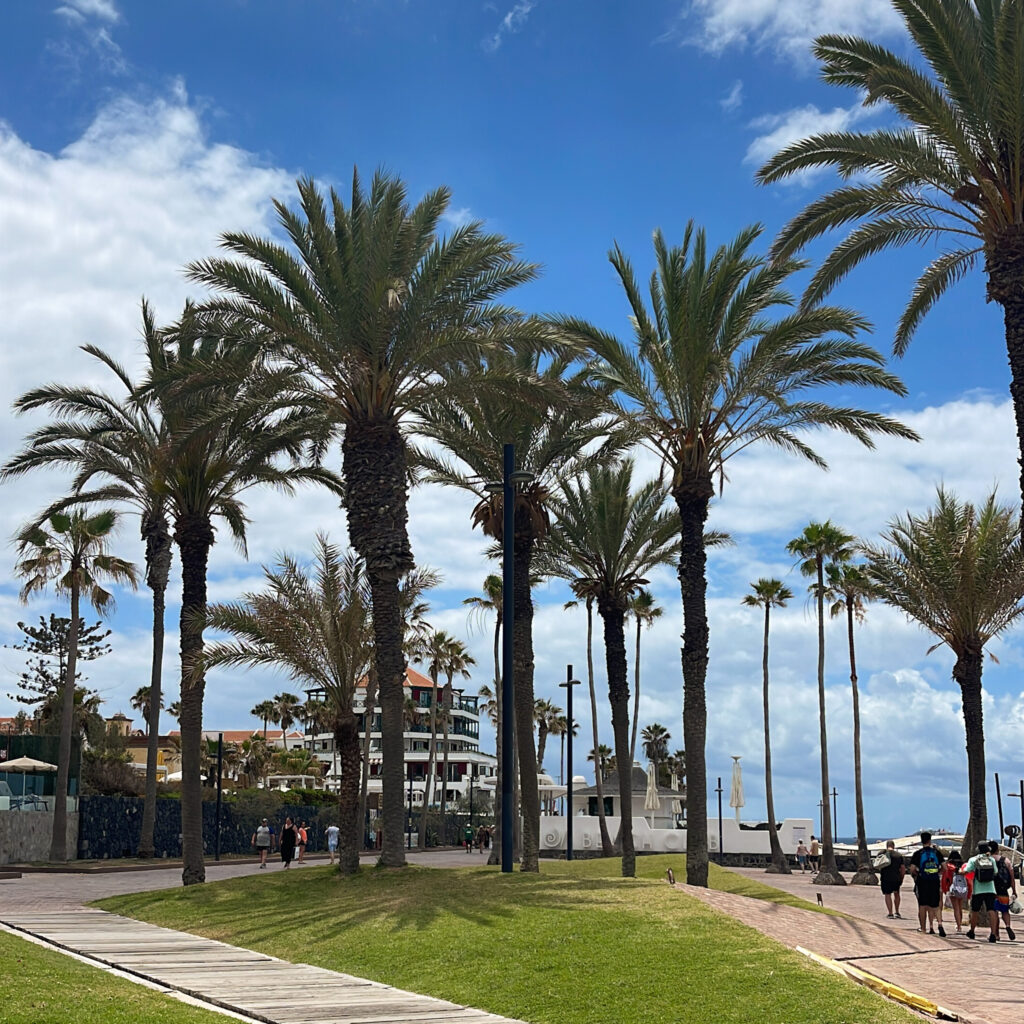 teneryfa las americas